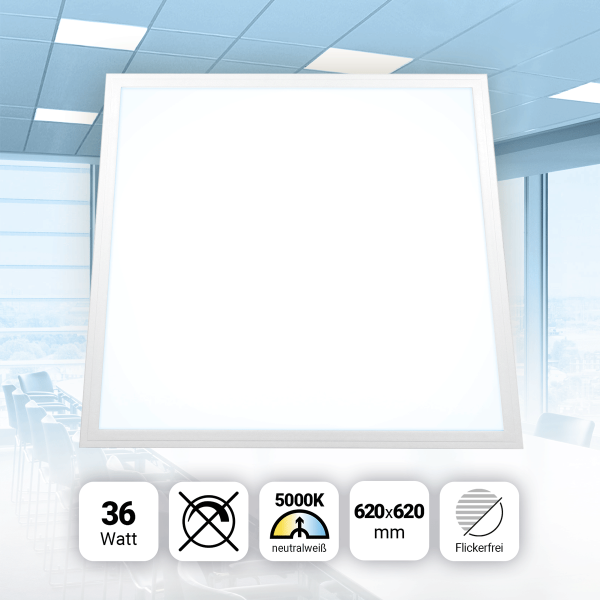 LED Panel 62x62 Neutralweiß 5000K 36W PLs3.0