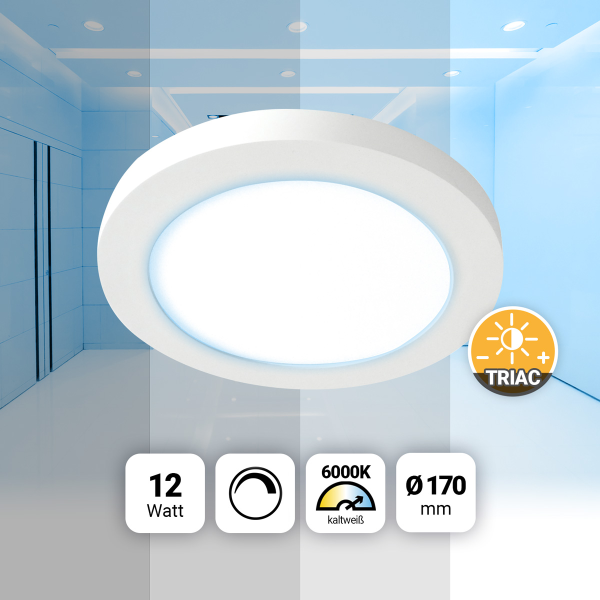LED Aufbaupanel rund Ø165mm Tageslichtweiß 6000K 12W dimmbar Triac PLm4.0