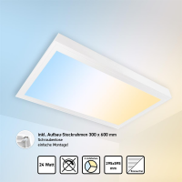 LED Panel 30x60 3CCT 3000K-4000K-6000K 24W Lichtfarbe...