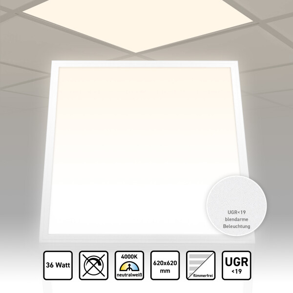 LED Panel 62x62 Neutralweiß 4000K 36W UGR<19 PLs3.0
