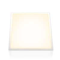 LED Panel 62x62cm Warmweiß 3000K 40W nicht dimmbar PLe2.2
