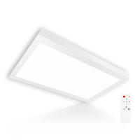 LED Panel 30x60cm 3CCT 3000K-4000K-6000K 24W dimmbar 2.4G...