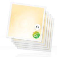 5x LED Panel 62x62cm Warmweiß 3000K 25W LED Deckenleuchte LED Rasterleuchte 140lm BLe2.0