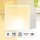 5x LED Panel 62x62cm Warmweiß 3000K 25W LED Deckenleuchte LED Rasterleuchte 140lm BLe2.0