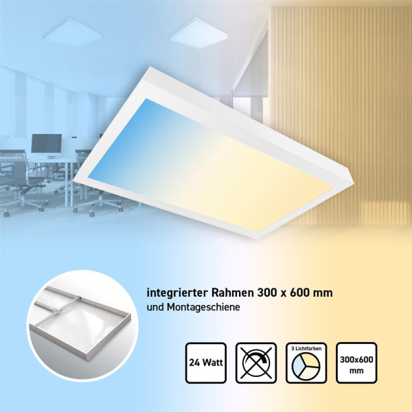 RESTPOSTEN LED Panel 60x30cm 3CCT 3000K-4000K-6000K 24W Montage Alu Aufbaurahmen Pls2.1