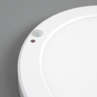 LED Aufbaupanel 220mm Warmweiß 3000K 18W 1500lm...