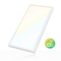 LED Anbaupanel 120x60cm 3CCT 3000 4000K 6000K 38W 6080lm UGR<19 Anbauleuchte BLt